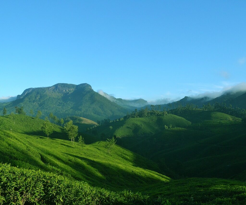 mgm trips and travel slider image munnar kerala