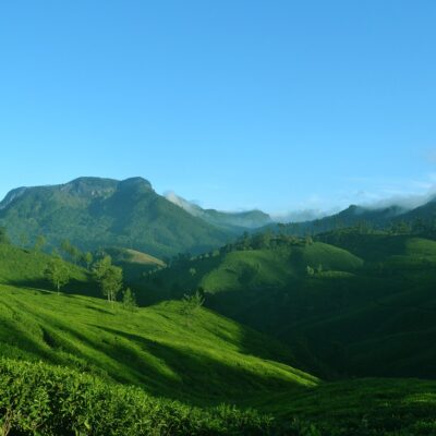 Travel to Kerala